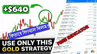 Gold Trading Strategy Bangla | Scalping Strategy |  Free Indicator | Trading for Beginners WIN 90%