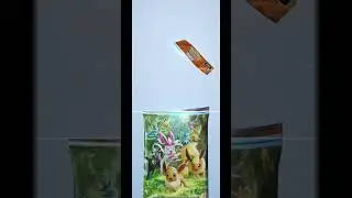 Pokemon Pocket Part 51 EEVEE GROVE #pokemon #pokemonpocket #cards #packopenning #shiny #rainbow