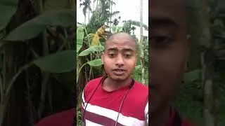 What is bara   Comedy begoli video.   #comedi #short #baglacomedi #comedyvideo ##bağlama #