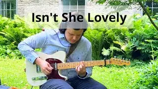Isn't She Lovely (Solo Guitar) - Stevie Wonder