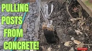 Removing a fence post stuck in concrete using a lever. (fulcrum)