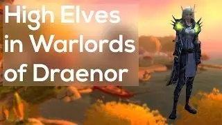 High Elves Playable Race Speculation [Old] - Next WoW Expansion