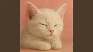 The Meow That Sings You to Sleep
