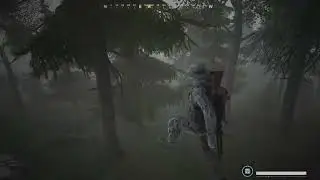 Vigor but every time I have a LMG I get god powers