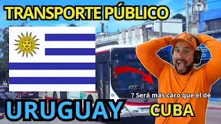CUBANO🇨🇺 REACCIONA al Transporte PÚBLICO de URUGUAY 🇺🇾 ​⁠@armanonism