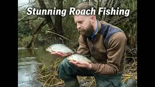 Some MAGICAL Roach Fishing On A Tiny Flooded Urban River