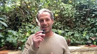 Why bitcoin is the first real energy money 🦄
