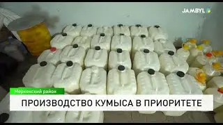 Производство кумыса в приоритете