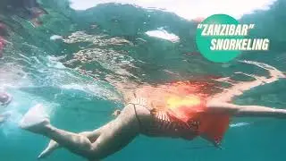 Zanzibar Chumbe Reef, Snorkeling 🤿