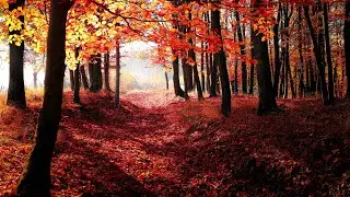 Deep &bull; Progressive &bull; House Mix (Autumn)