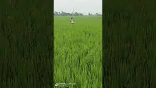 #song #music #tamil #varunsir #farmer #