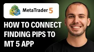 КАК ПОДКЛЮЧИТЬ FUNDING PIPS К ПРИЛОЖЕНИЮ METATRADER 5 [РУКОВОДСТВО НА 2026 ГОД]