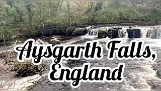 Aysgarth Falls, England | Dreamy Destinations