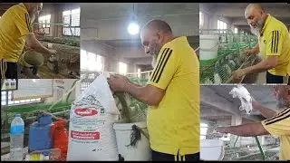 يلا نتعلم نعلف سوا الارانب بعلف الكسيب ونوفر في العلف وبالجرام