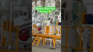 Бро, это фабрика по переработке риса стоимостью в миллион долларов в Тамале. #денежноемышление #п...