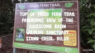 Tiger Fern Trail Panoramic View of the Cockscomb Basin Wildlife Sanctuary. Stann Creek, Belize
