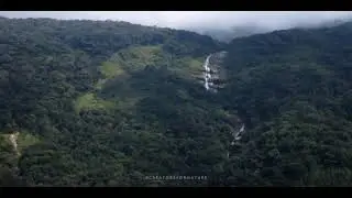 Indomalayan Diaries - Coming Soon | Creators For Nature