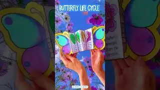 The life cycle of a butterfly from egg to adult! #teacherideas #secondgrade #firstgrade #kidscrafts
