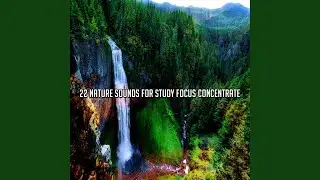 In A World Of Natural Wonder