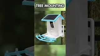 Smart Bird Feeder Camera - Watch Wildlife Like Never Before