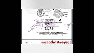 BZYCT133 classes| bzyct 133 lecture 1| IGNOU exams| @aasthastudy-bee749