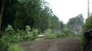 Tree Felling in Hesdin.AVI