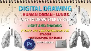 Digital Drawing Human Organ-Lungs Easy to Draw Step By Step Light and Shading For Intermediate..