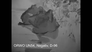 Experimente mit ORWO UN54 (16mm)