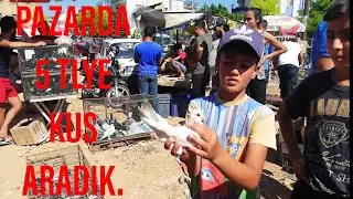 5 TL'ye GÜVERCİN BULANA KUŞU HEDİYE ETTİM.devami mutlu mirocu kuscuda