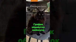 15 января 2026 г.