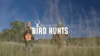 Greystone Castle - Bird Hunts