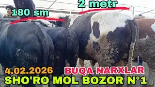 ШОРО МОЛ БОЗОР БУК,А НАРХЛАР.