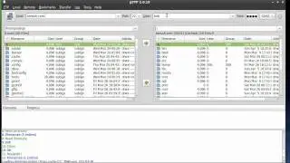 Using an SCP client to log into your server via SSH - zenssh.com