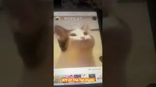 Popcat Clicking to 1 Billion - Hitting 10K Clicks