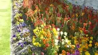 P1020199 Bath England stunning flowers in pay to get into park...