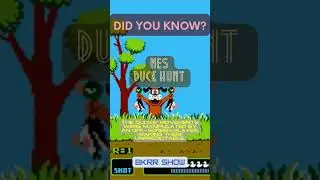 Nintendo #NES FUN FACT- DUCK HUNT | BKRR SHOW