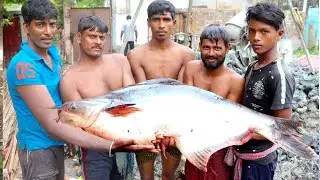 Net Big Fishing In Pond|| fishing videos 2020|| amazing fishing video ||unique fishing catching