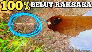 Saya Kaget Pak Tani Kaget!! INI DIA WUJUD BELUT RAKSASA SUPER BESAR... Di Lubang Goa Bawah Air