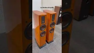 Loa Dali helicon 400 Đan Mạch cực hiếm #loachauau #dali #loachauauhanoi #hathanhaudio #speaker