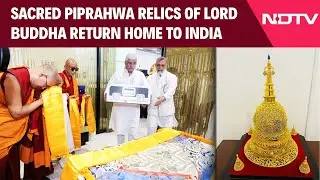Piprahwa Relics Return To India  | Sacred Piprahwa Relics of Lord Buddha Return Home To India