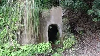 15.09.2022 Isola d'Elba Sorgenti dell'Acquaviva