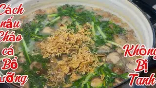 Bí quyết nấu CHÁO CÁ thơm ngon bổ dưỡng không tanh CỰC PHẨM của bếp nhà xavia 