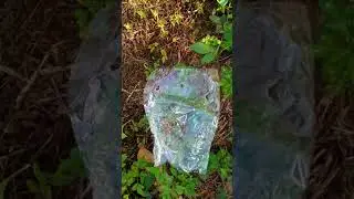 嫁接失敗的原因。