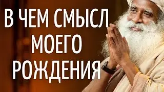 Садхгуру — В чем смысл моего рождения?