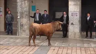 Azpeitiko sokamuturra. Karnabalak 2016 - Elegante eguerdia, sokamutil ohiak (otsailak 7)