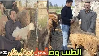 المعلم شكري زعلان انت عايز تخرب بيتى عايزني اشحت الغنم ده انا عامل اكبر انهيار هيزعل التجار