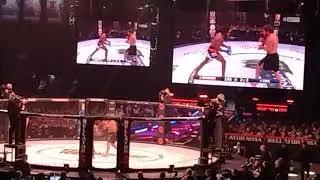 bellator 264 magomedov vs.stots rd.2