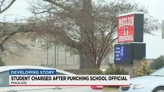 Student charged after punching assistant principal