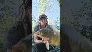 carpe miroir et combat du diable #carp #p&ecirc;che #carpfishing #pesca #fishing