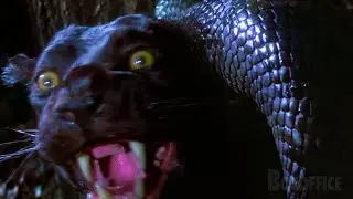 Anaconda VS Black Panther